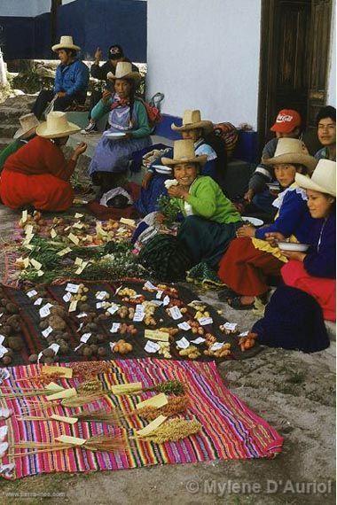 Población cajamarquina, Cajamarca
