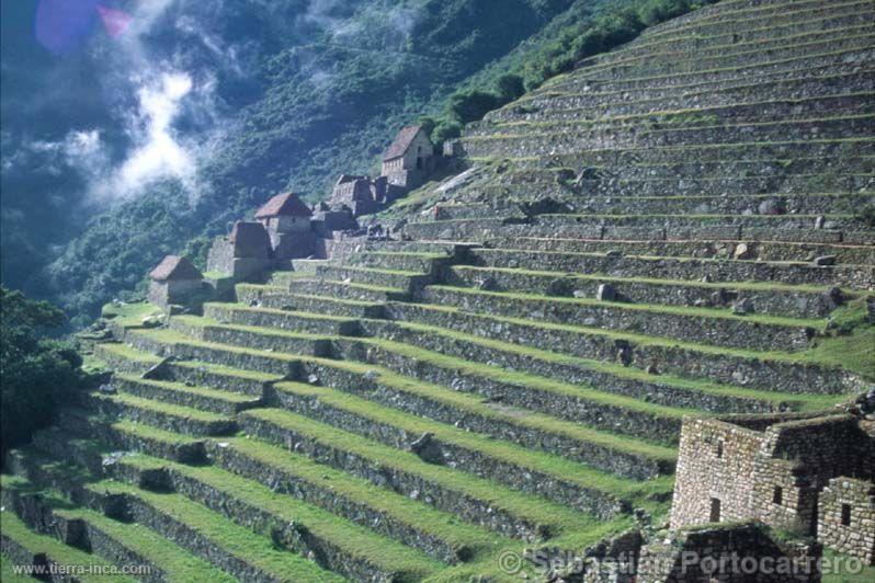 Andenera en Machu Picchu