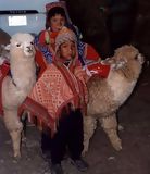 Niños y llamas cerca de Cusco, Cuzco