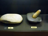 Museo de Sipán