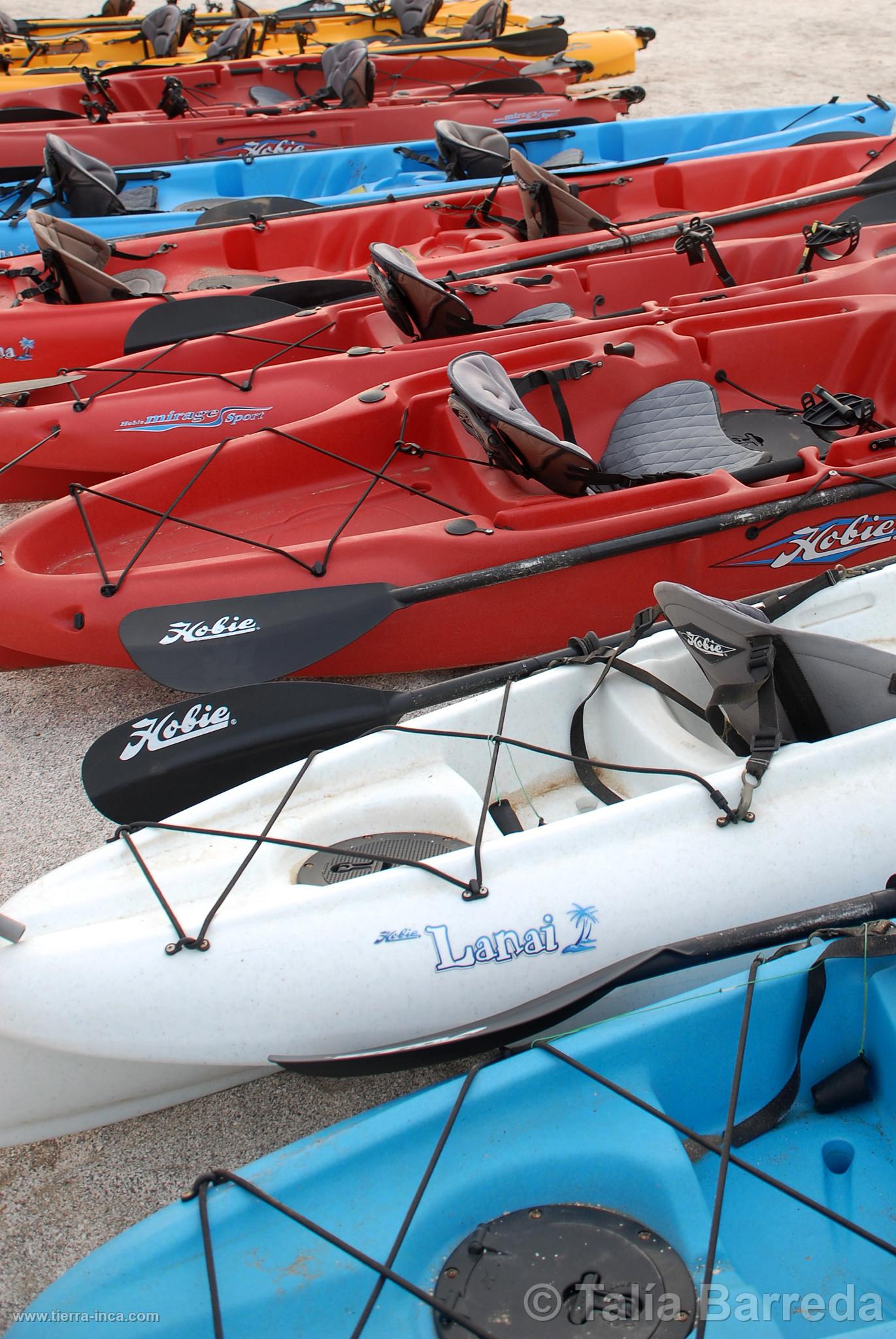 Kayaks en Paracas