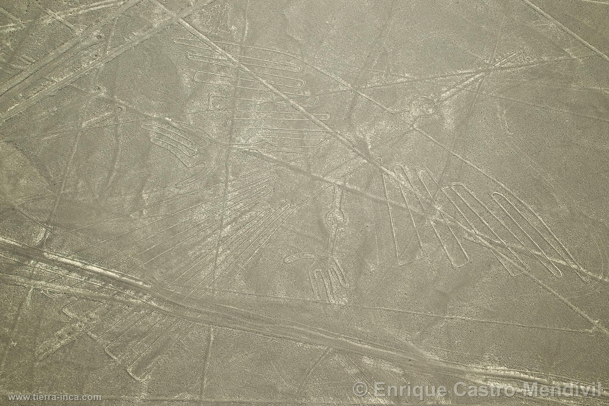 Líneas de Nazca