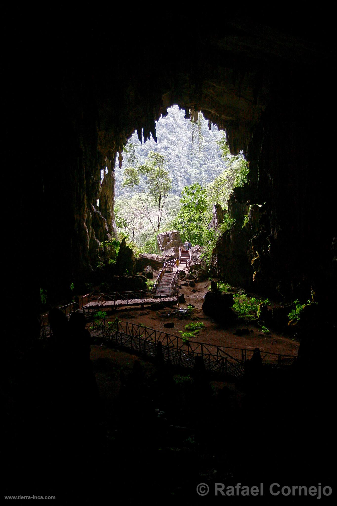 Cueva de Las Lechuzas, Tingo María