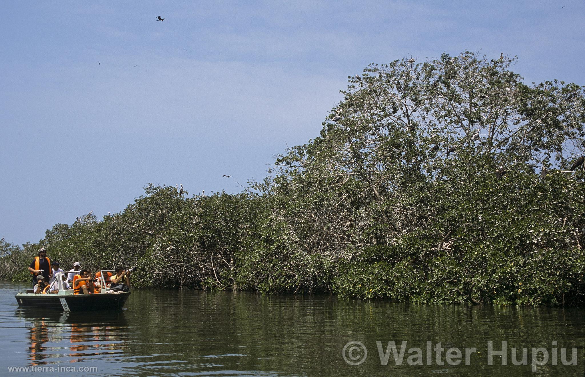 Turistas en los manglares de Tumbes