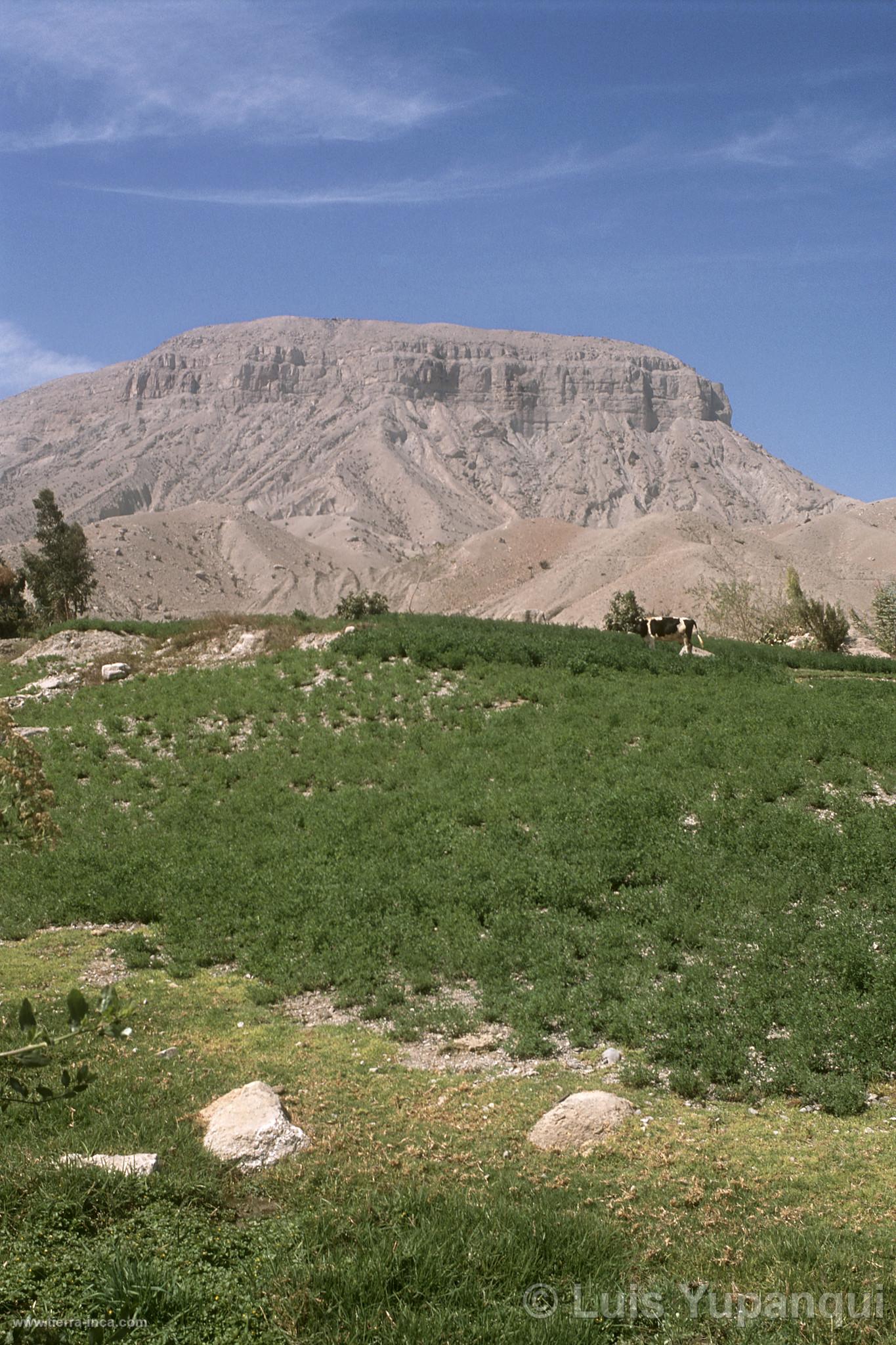 Cerro El Baúl