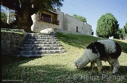 Molino de Sabanda