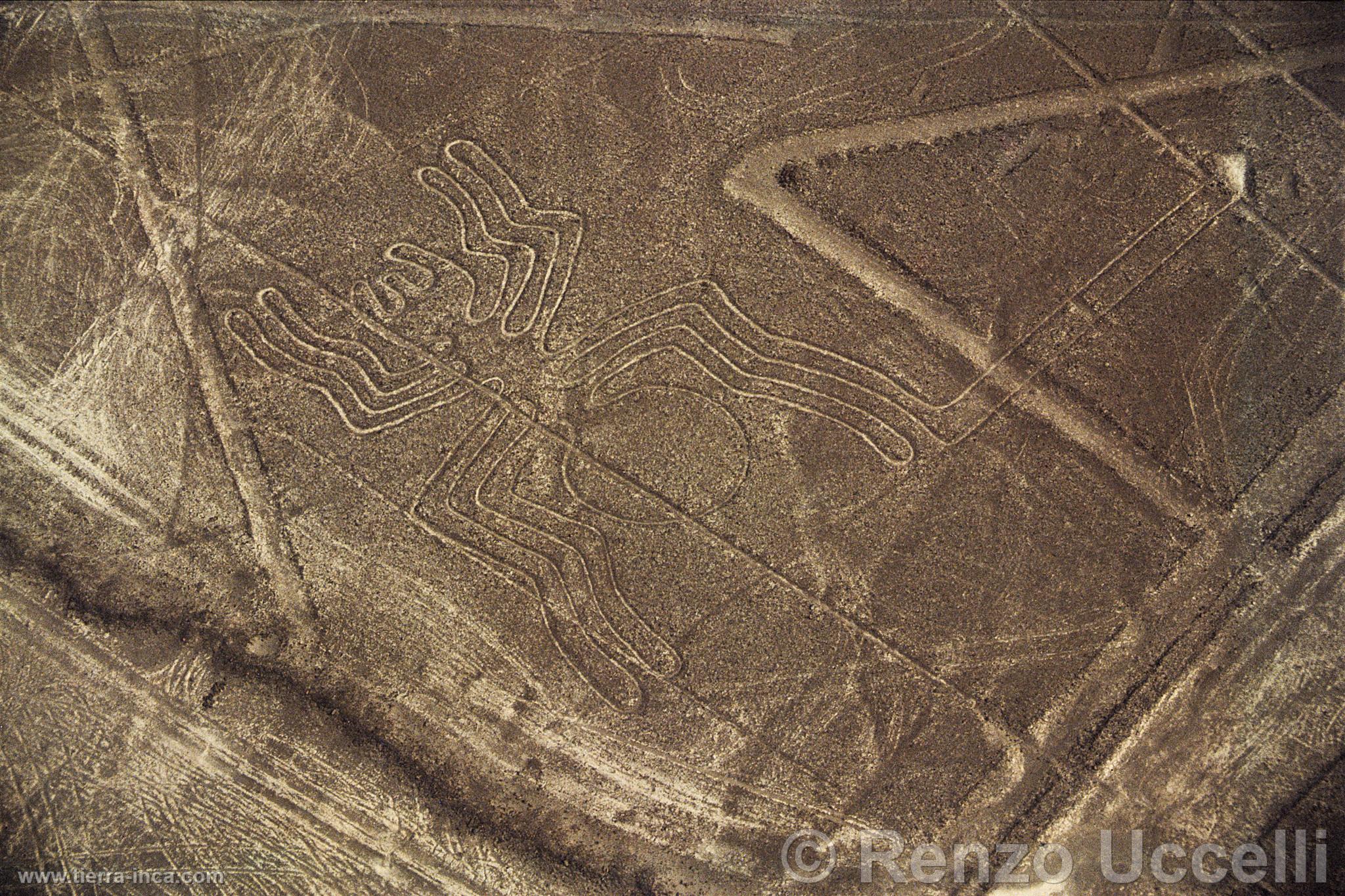 Lneas de Nazca