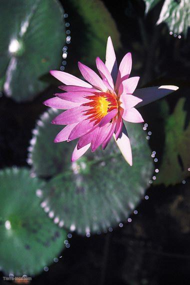 Mina de cobre de Toquepala