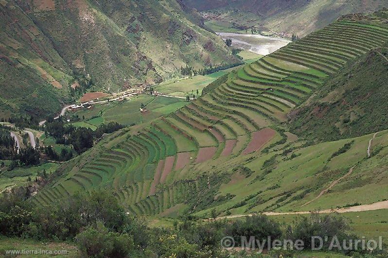 Andenes de Pisac