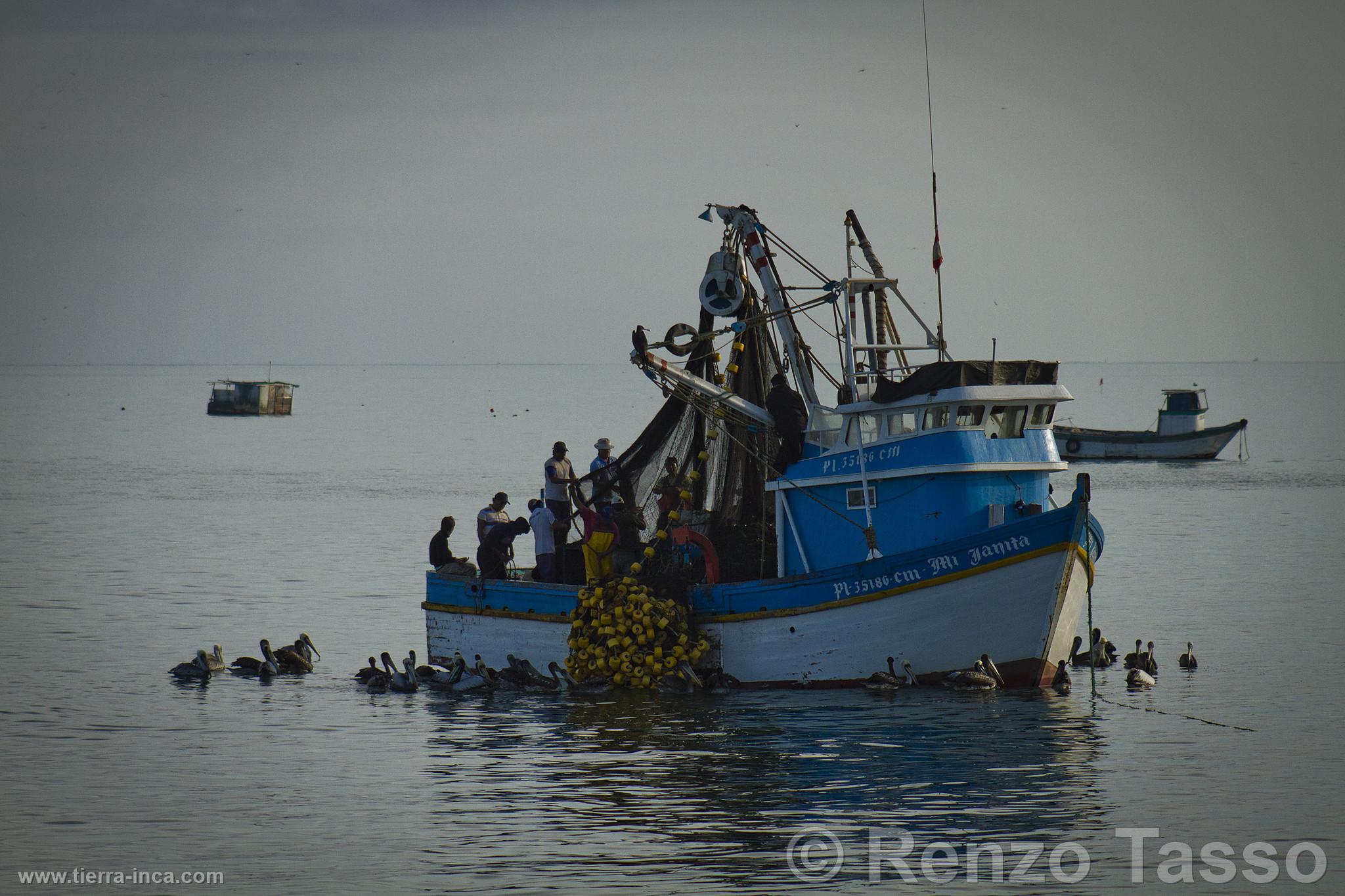 Embarcacin de pesca