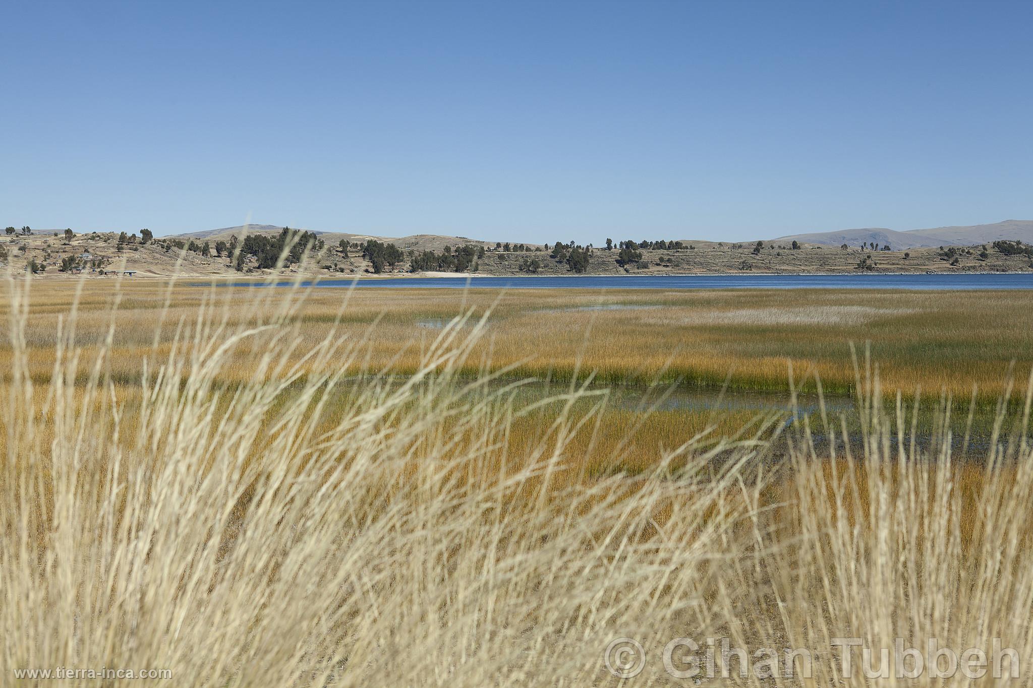 Lago Titicaca