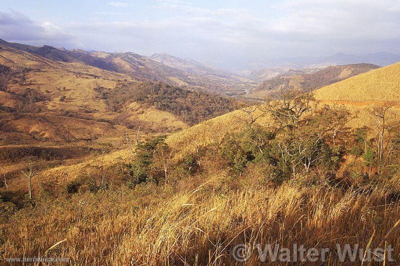 Cerros de Amotape