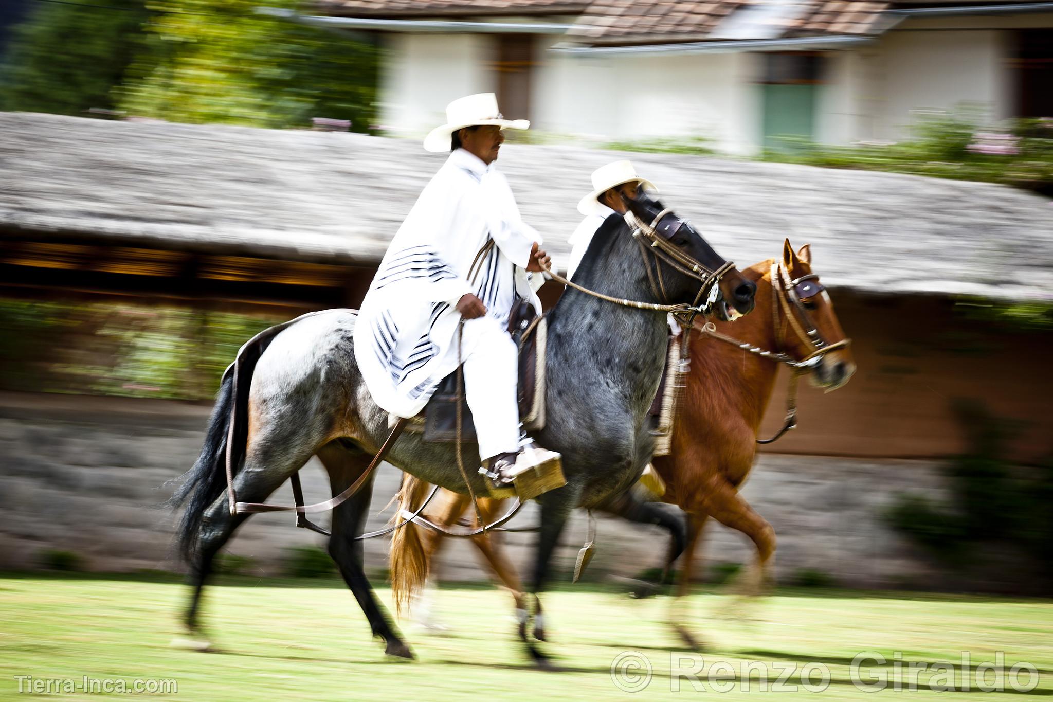 Caballos de paso