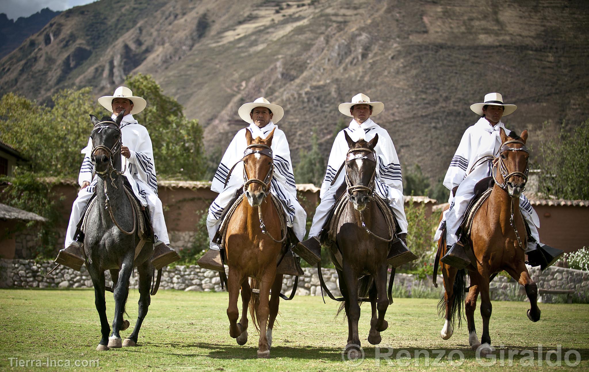 Caballos de paso