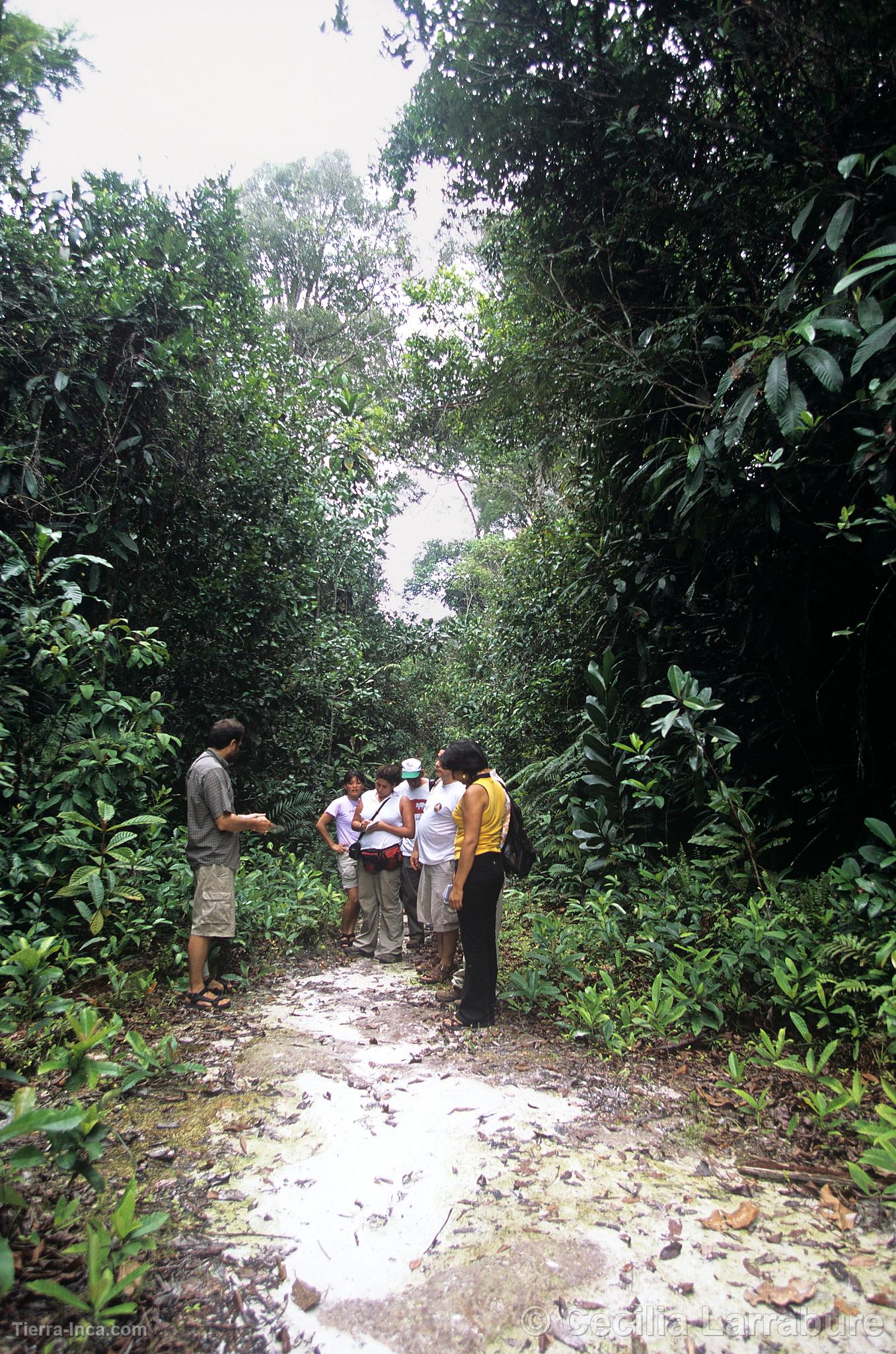 Reserva Nacional Allpahuayo Mishana