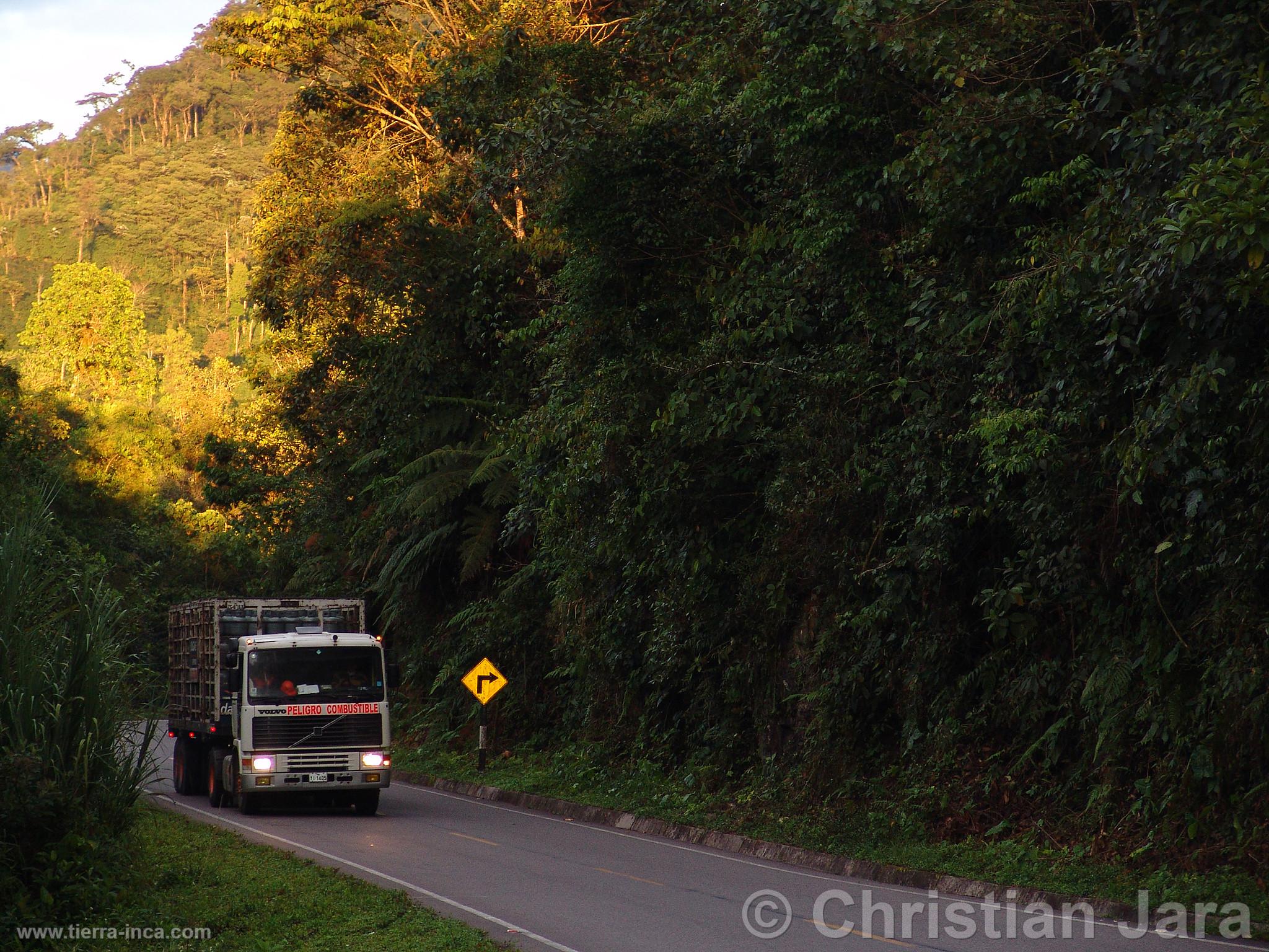 Carretera en la selva