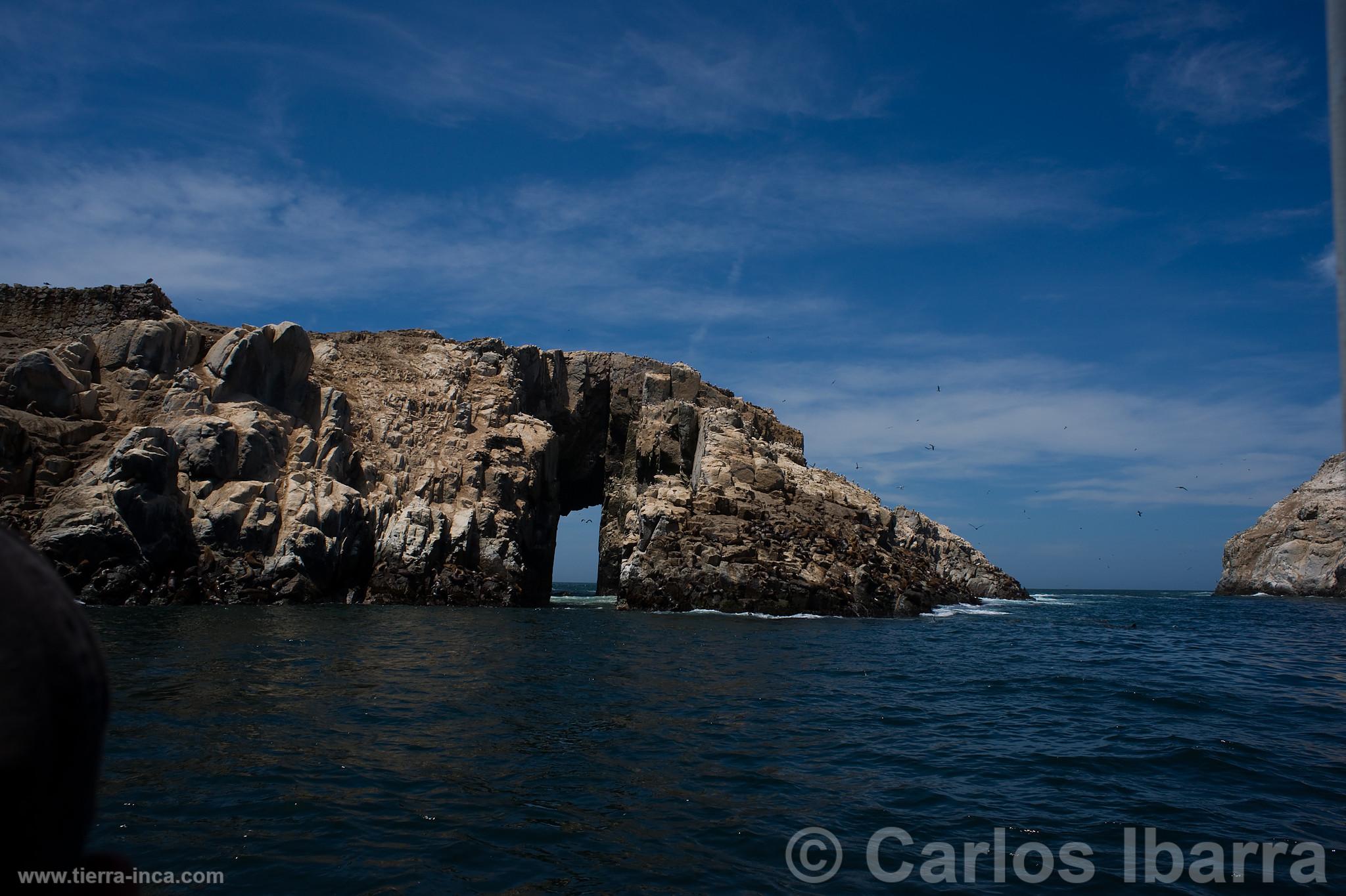 Islas Palomino, Callao