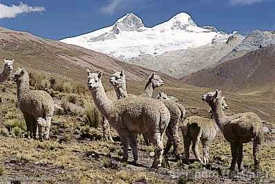 Nevado Pariacaca en Huarochir