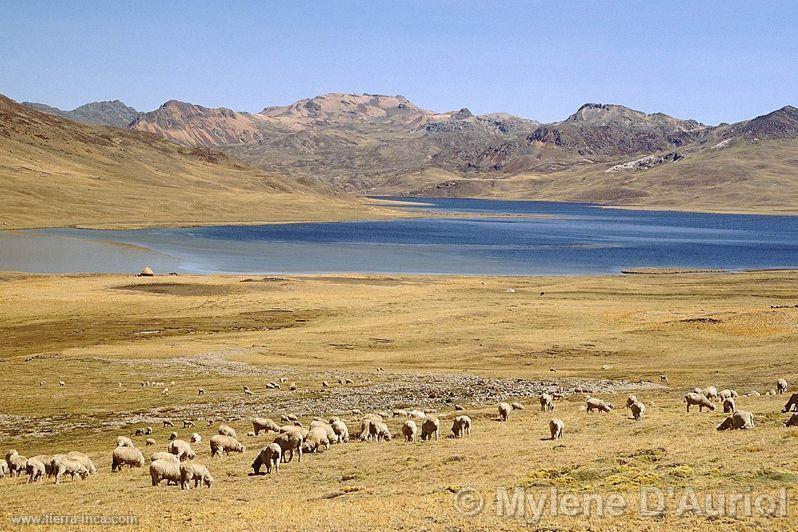 Laguna Huascacocha