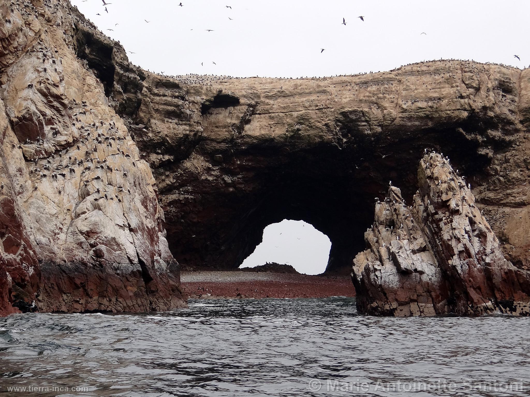 Islas Ballestas, Paracas