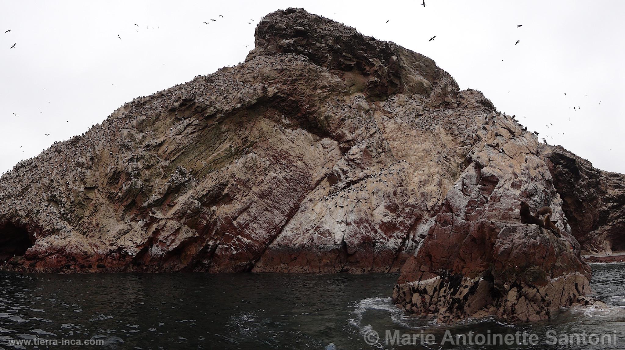 Islas Ballestas, Paracas