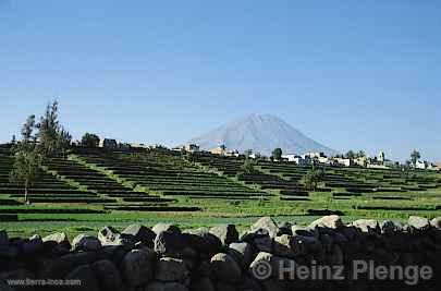 Campia de Arequipa