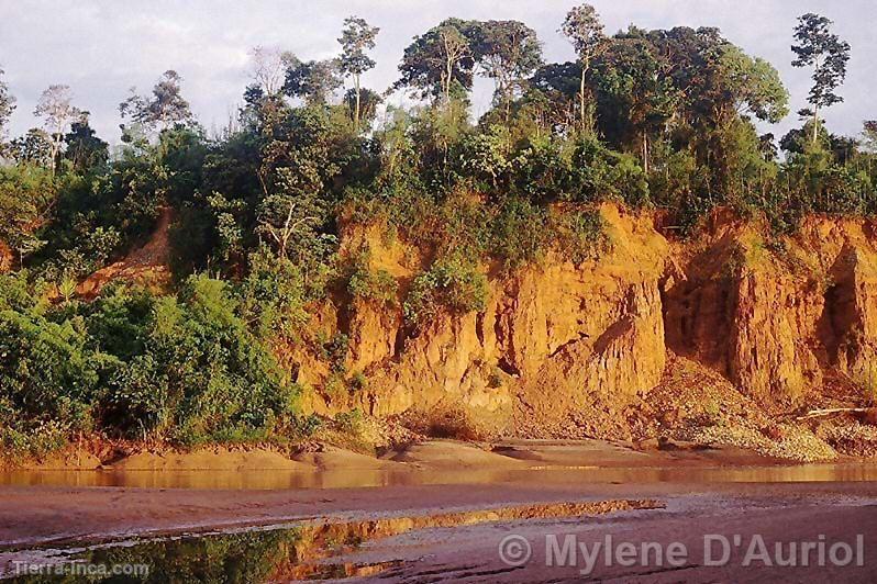 Tambopata - Candamo. Puno - Madre de Dios