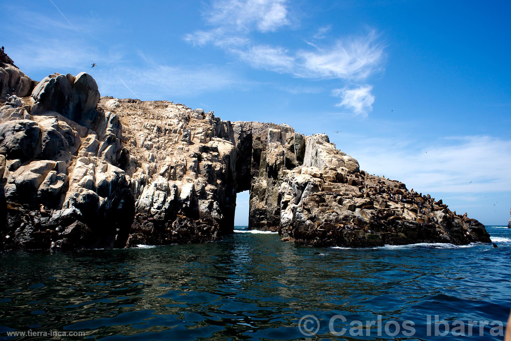 Islas Palomino, Callao