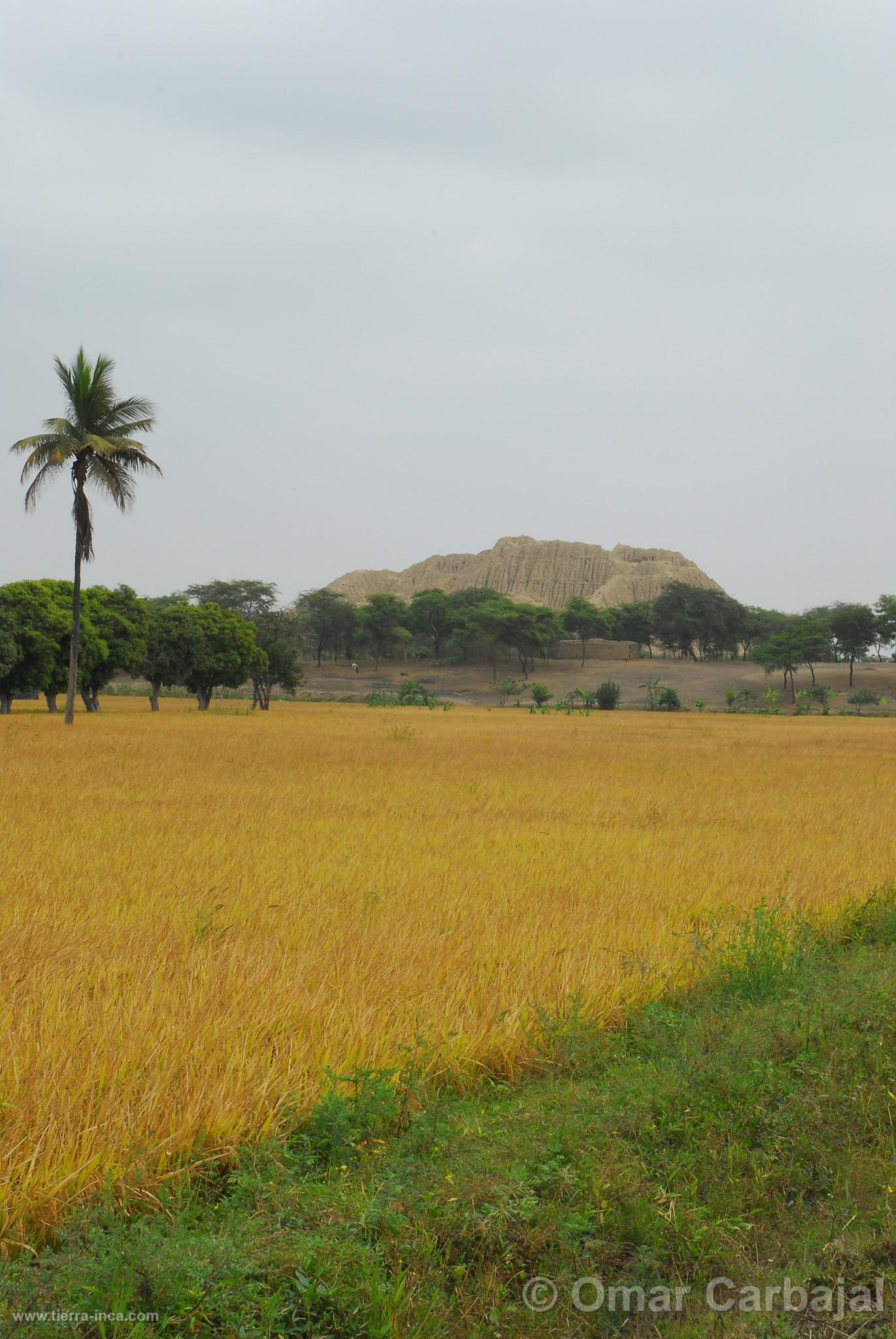 Valle de las Pirmides de Tcume