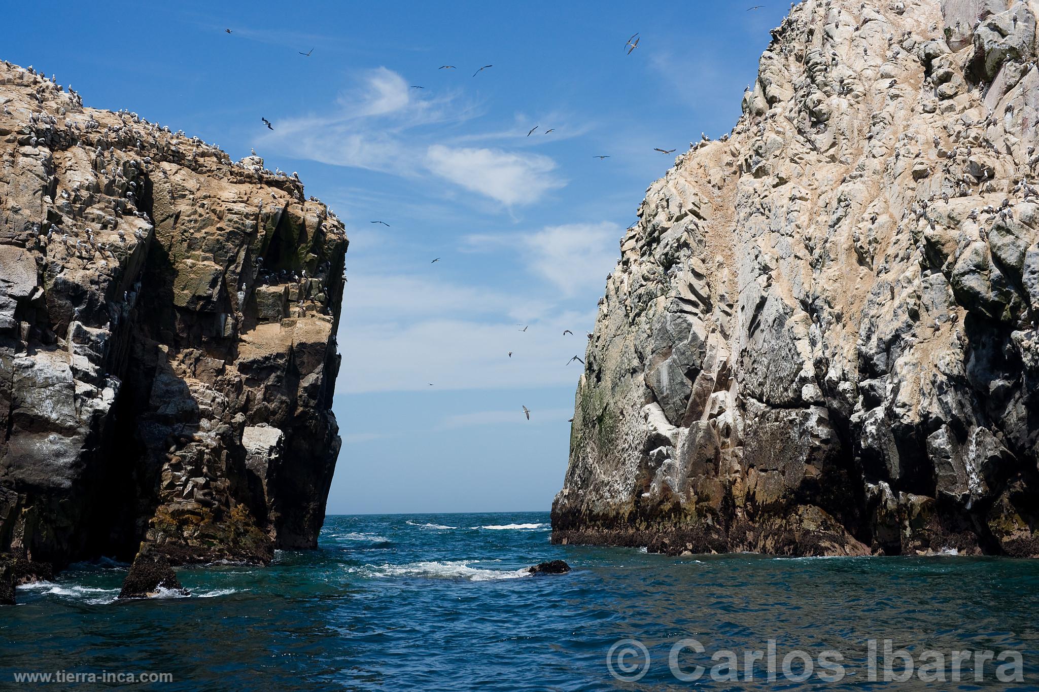 Las Islas Palomino, Callao