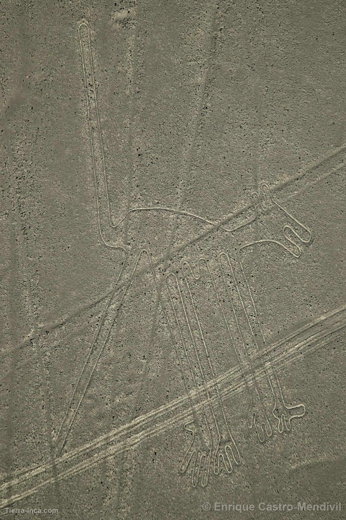 Líneas de Nazca