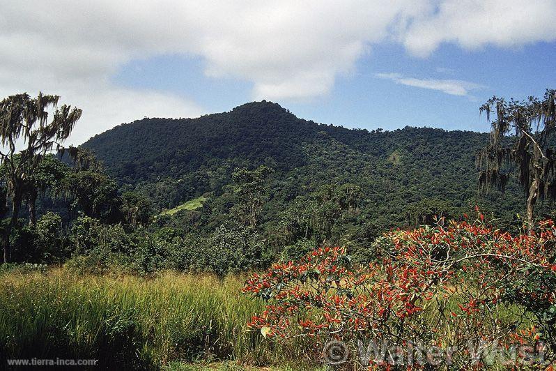 Zona Reservada de Tumbes