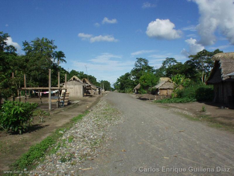 Shampuyacu (Alto Mayo)