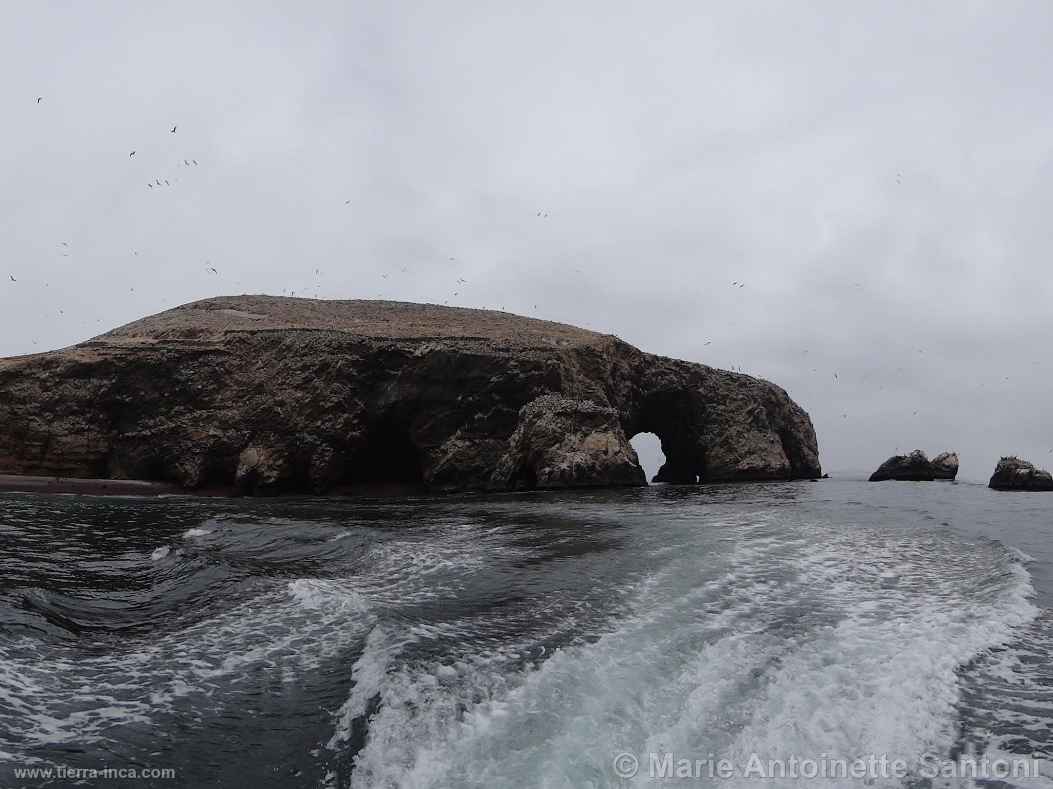 Islas Ballestas, Paracas