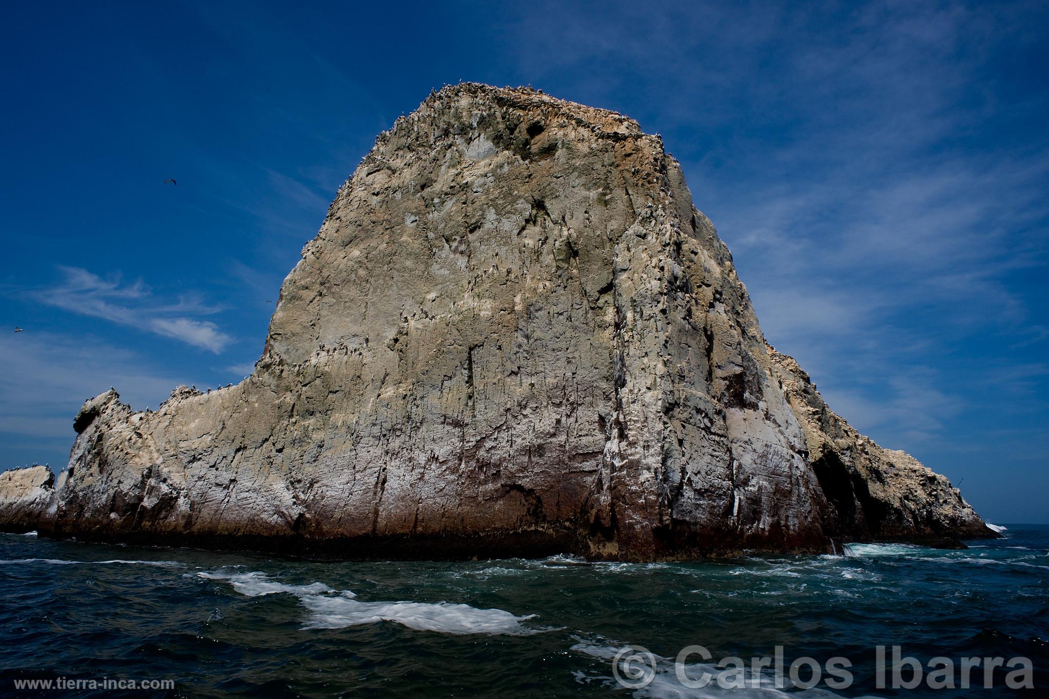 Islote de las Islas Palomino, Callao