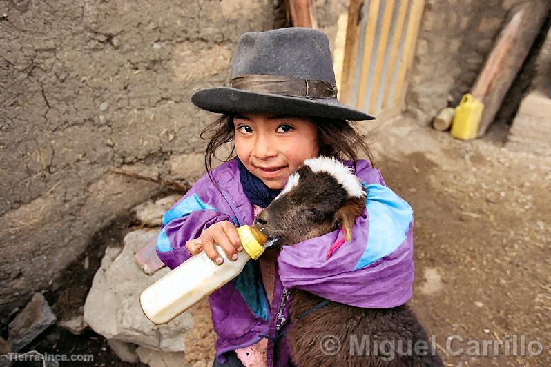 Nia campesina de Uchuraccay