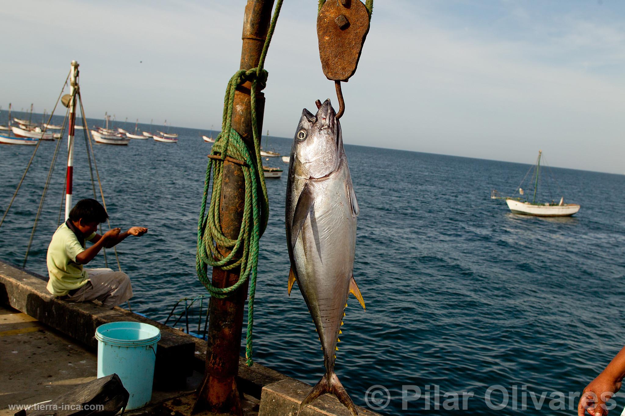 Pesca artesanal en la playa Los rganos