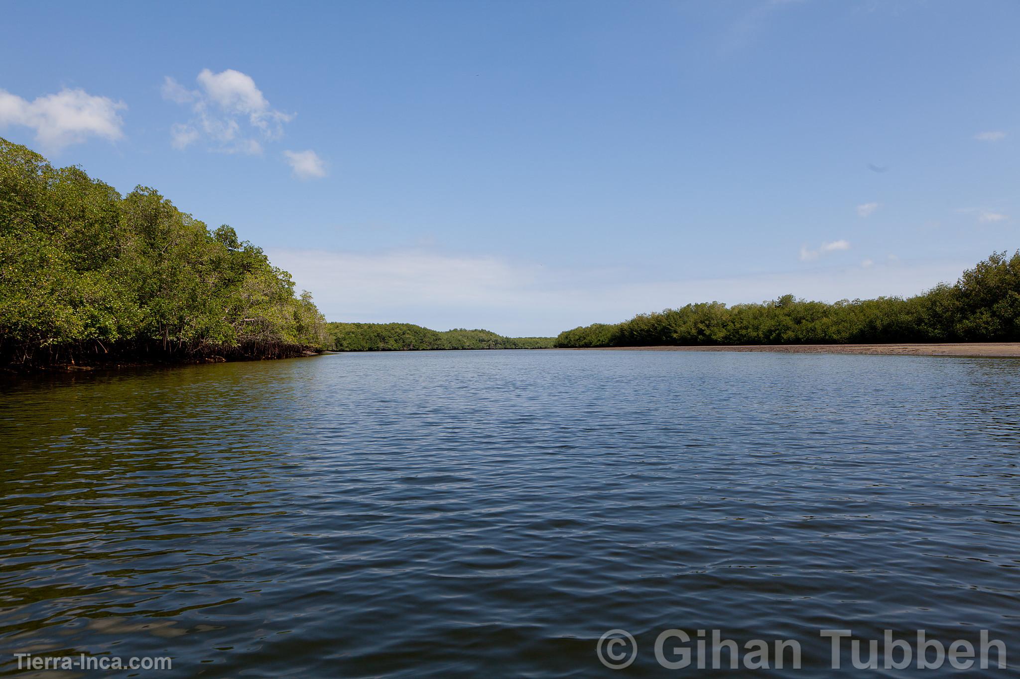 Santuarío Nacional Los Manglares de Tumbes