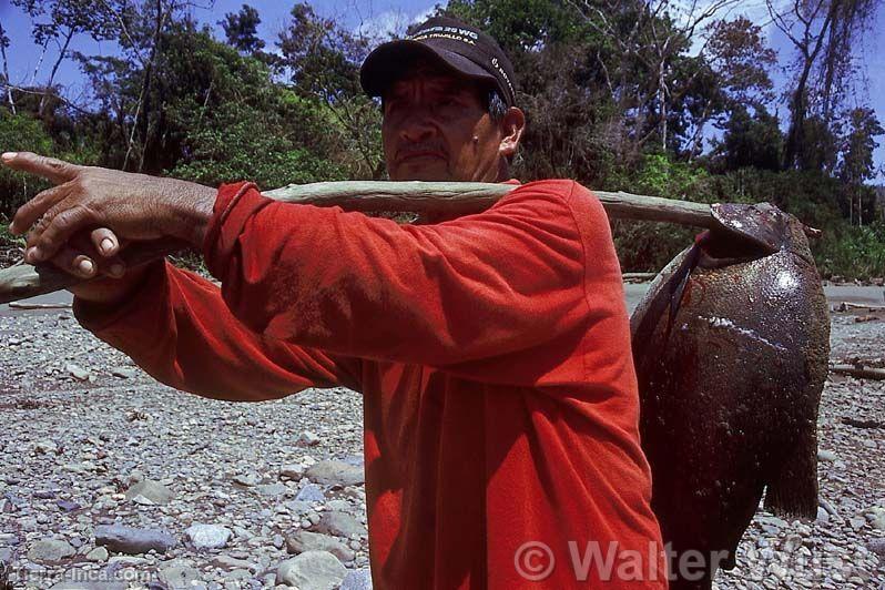 Pescador nativo