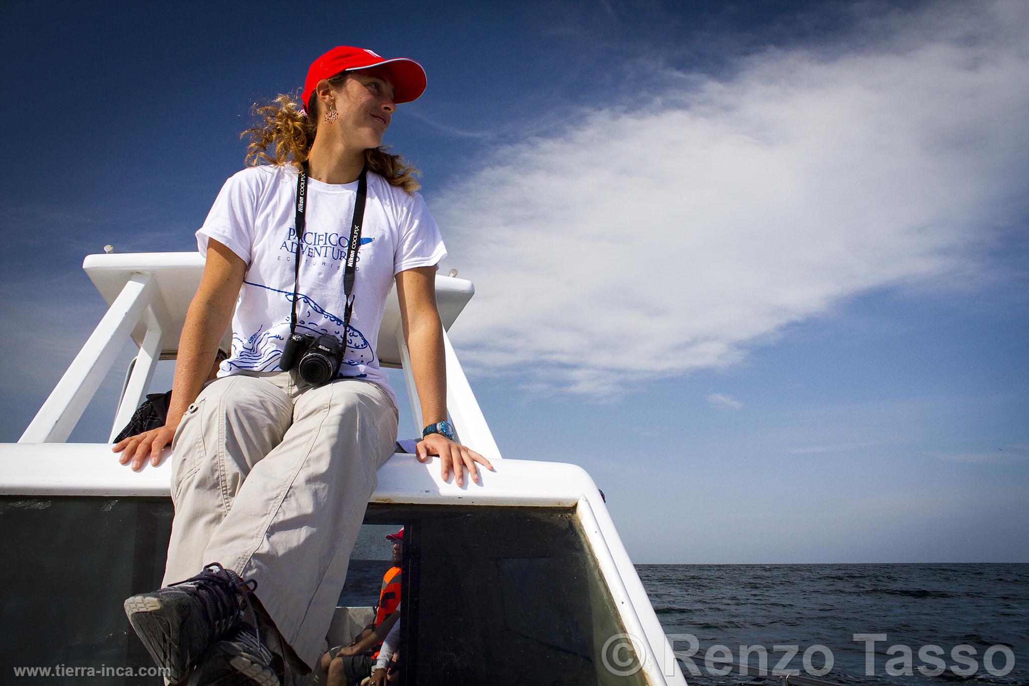 Avistamiento de ballenas