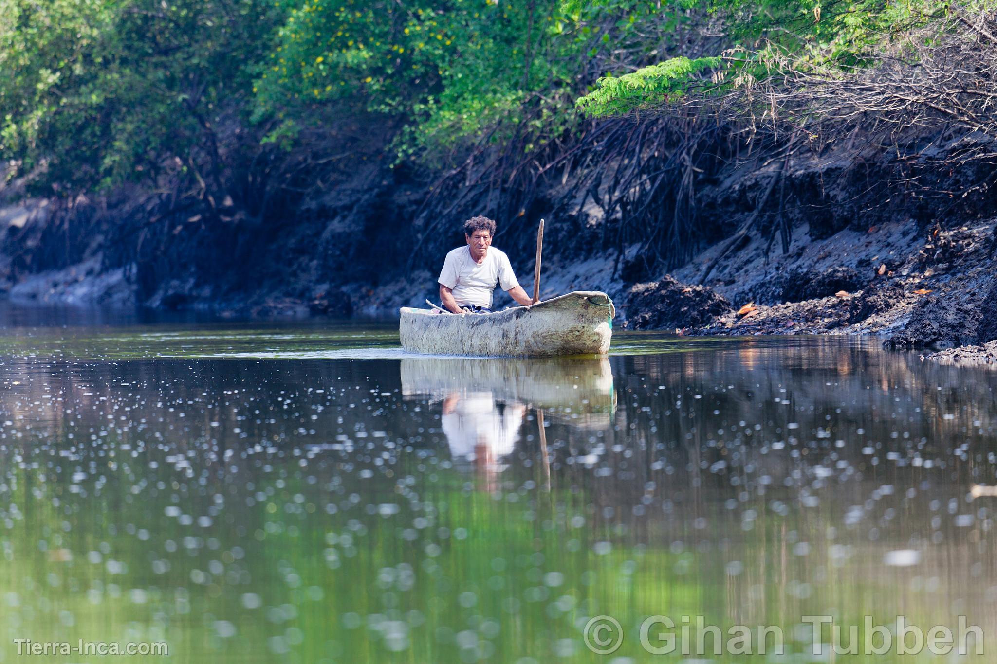 Bote en los Manglares de Tumbes