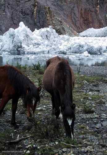 Cordillera Blanca