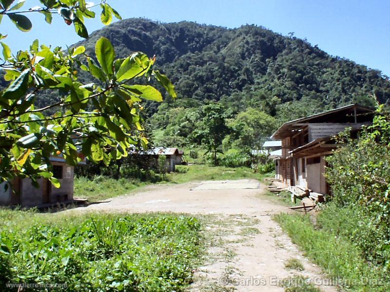 Carretera (Cascayunga)