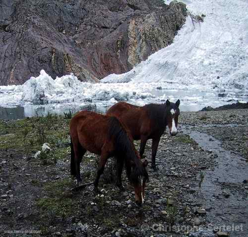 Cordillera Blanca