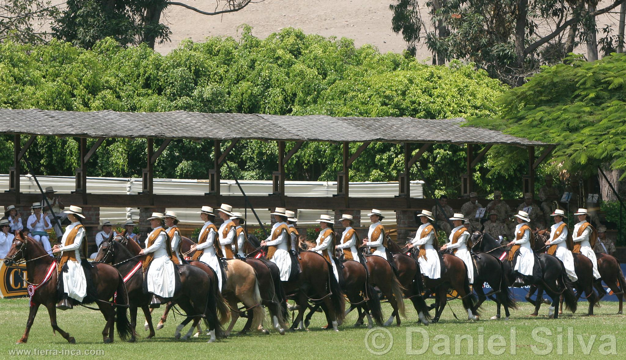 Presentacin de caballos de paso