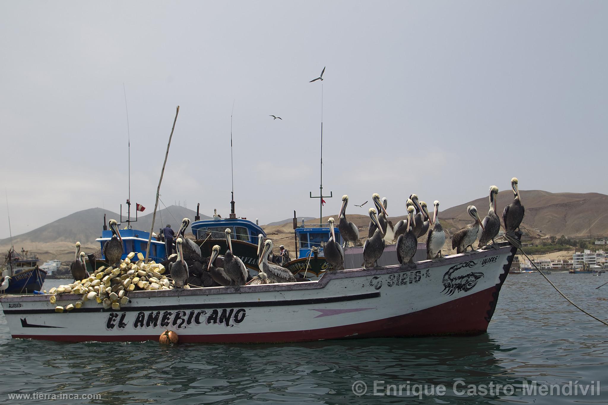 Botes de pescadores en el balneario de Pucusana