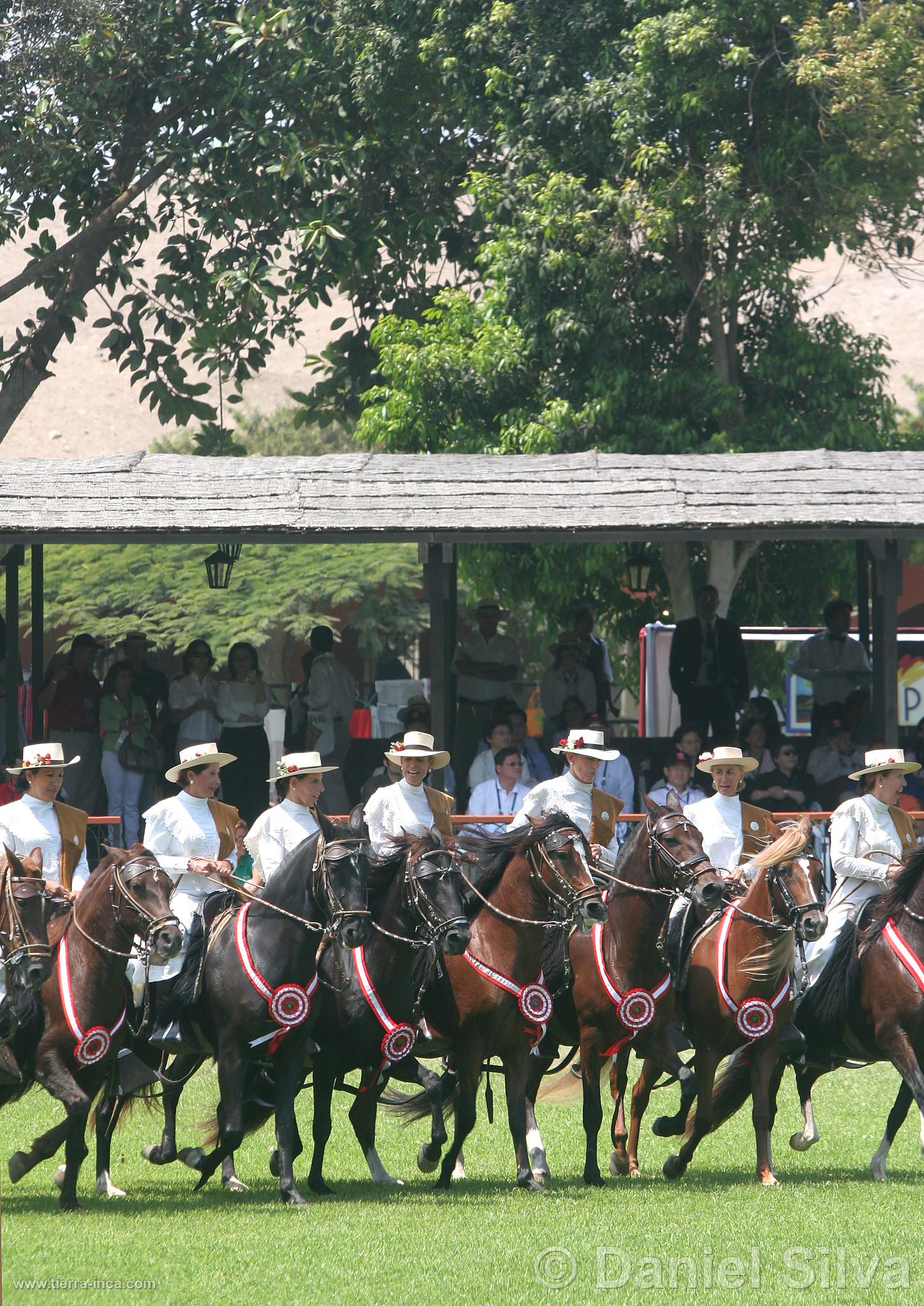 Presentacin de caballos de paso