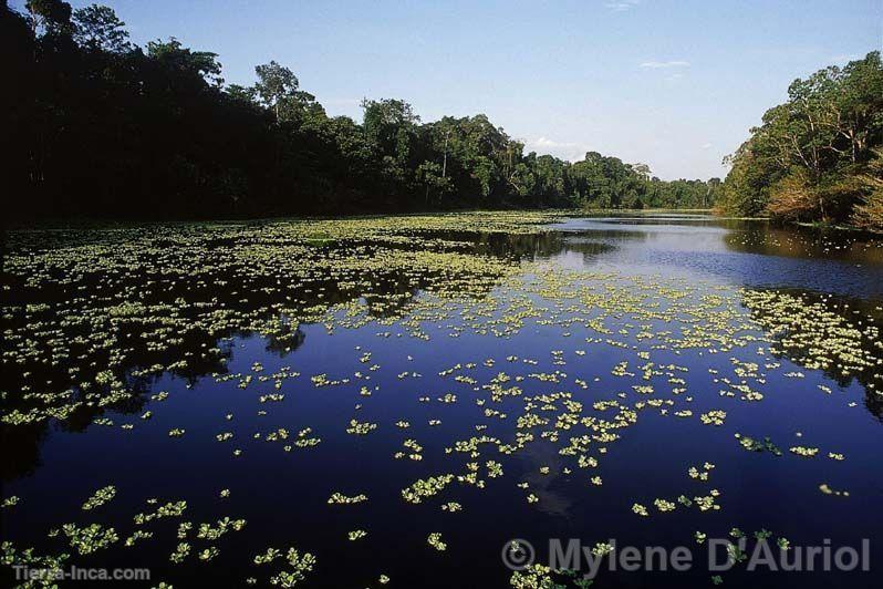 Reserva Nacional Pacaya-Samiria