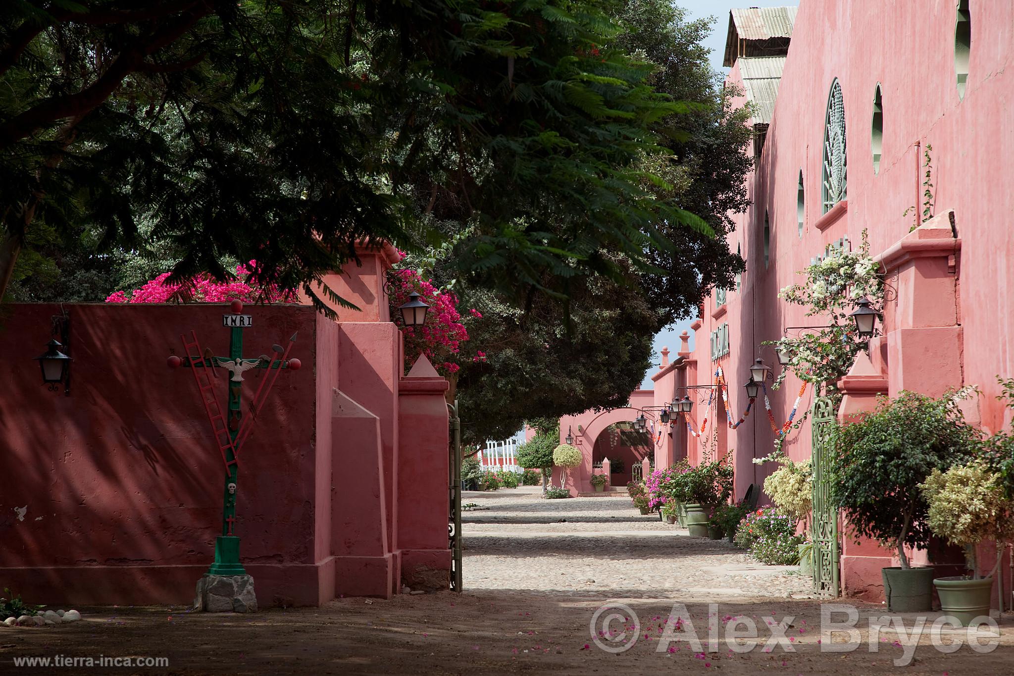 Bodega y Viedo Tacama