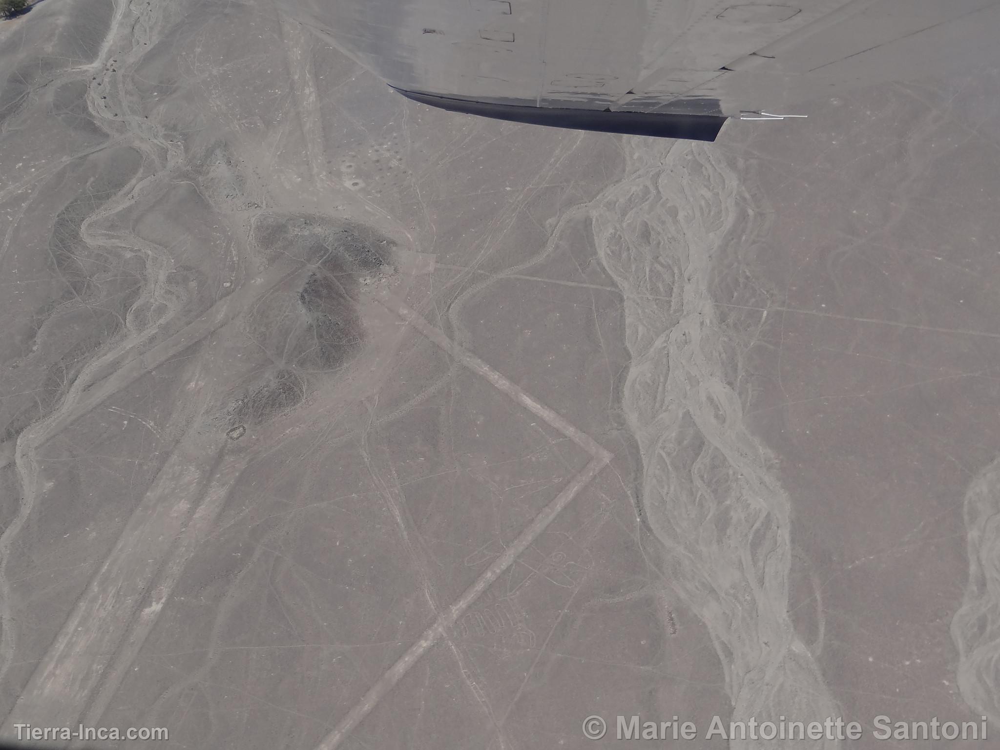 Lineas de Nazca